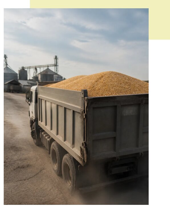 Перевозка сельхозпродукции навалом в Усть-Кут по цене от 3089 р. | Агросервис-Утк