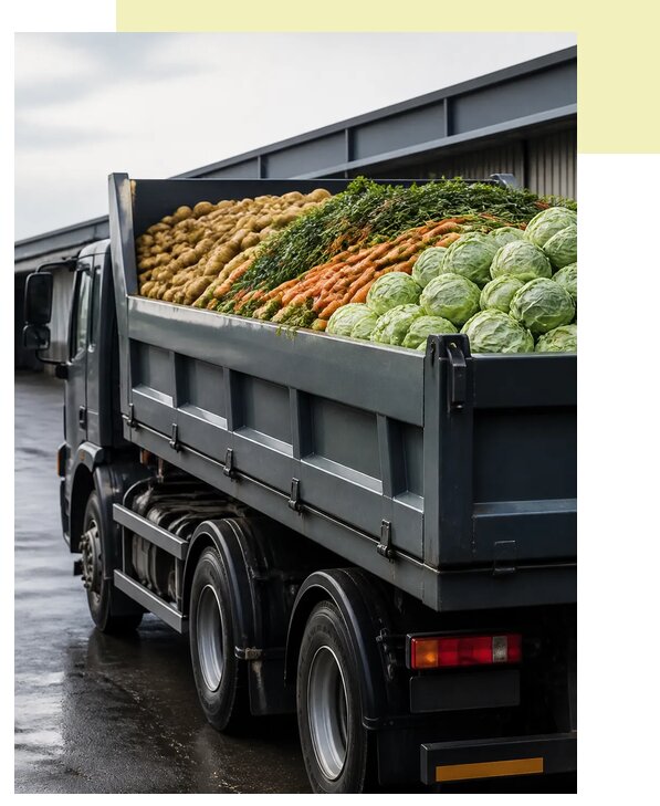 Перевозка овощей навалом в Усть-Кут по цене от 5149 р. | Агросервис-Утк